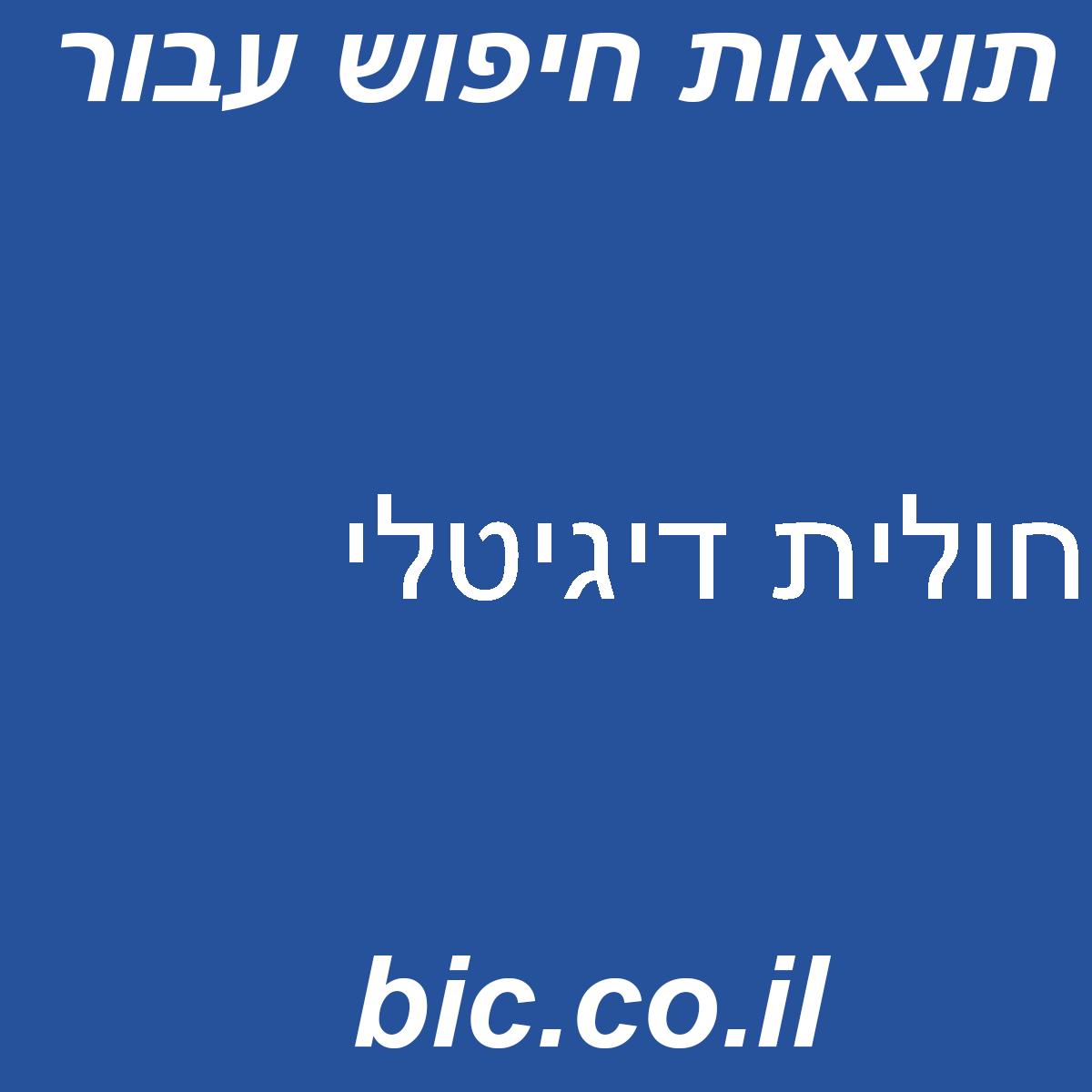 ﻿חולית דיגיטלי