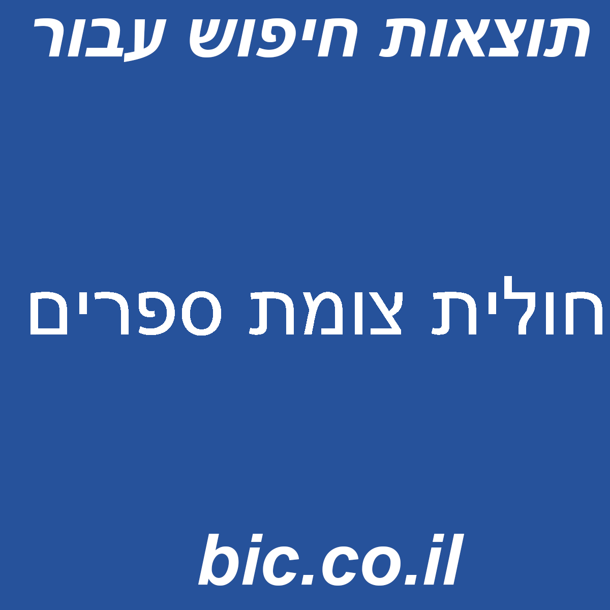 ﻿חולית צומת ספרים