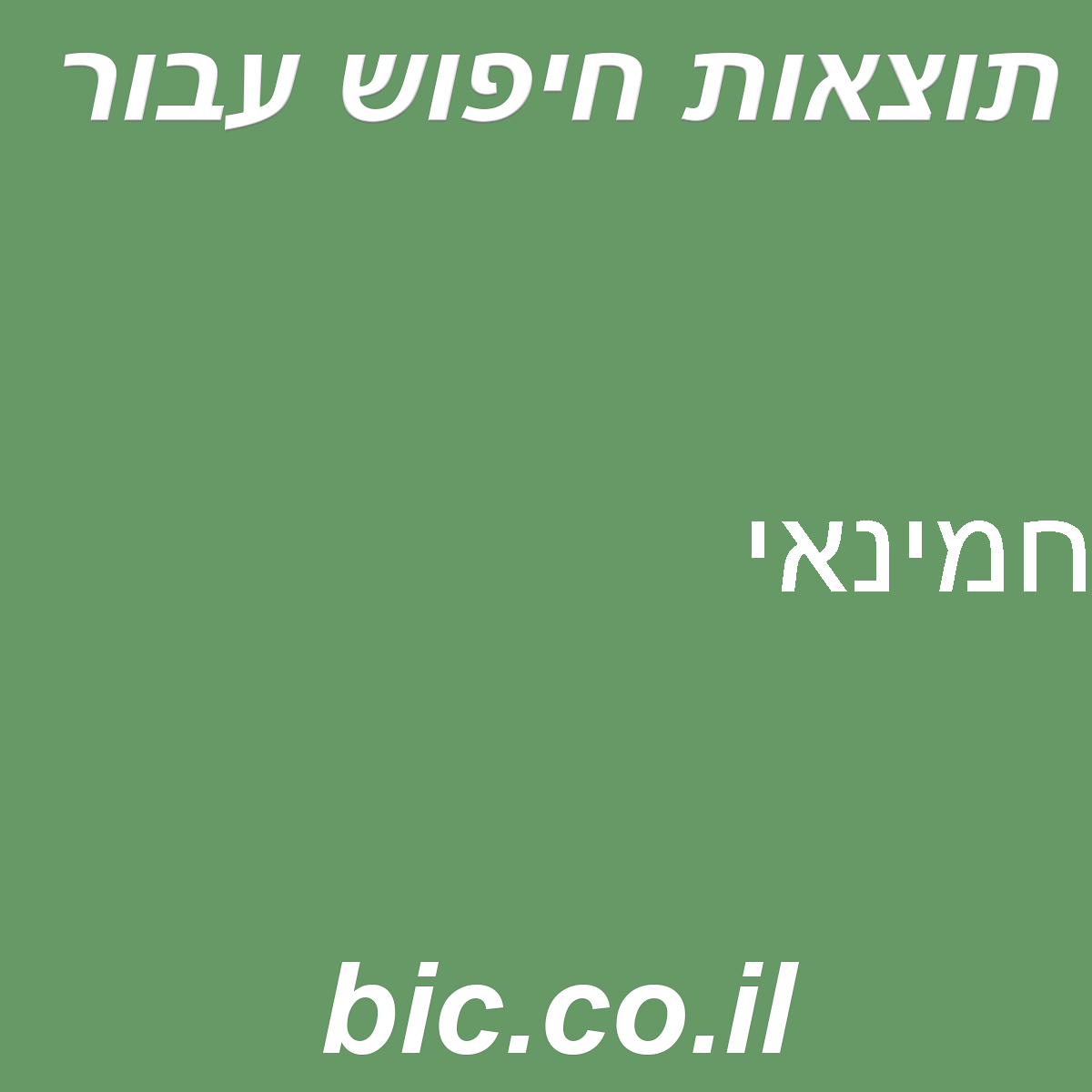﻿חמינאי