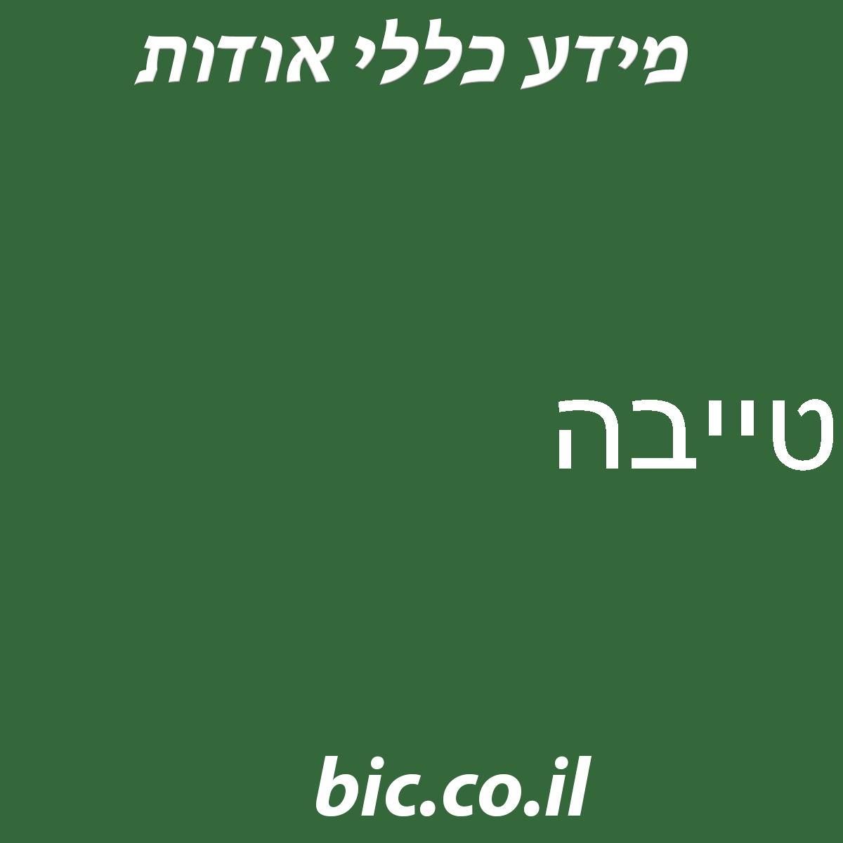 ﻿טייבה