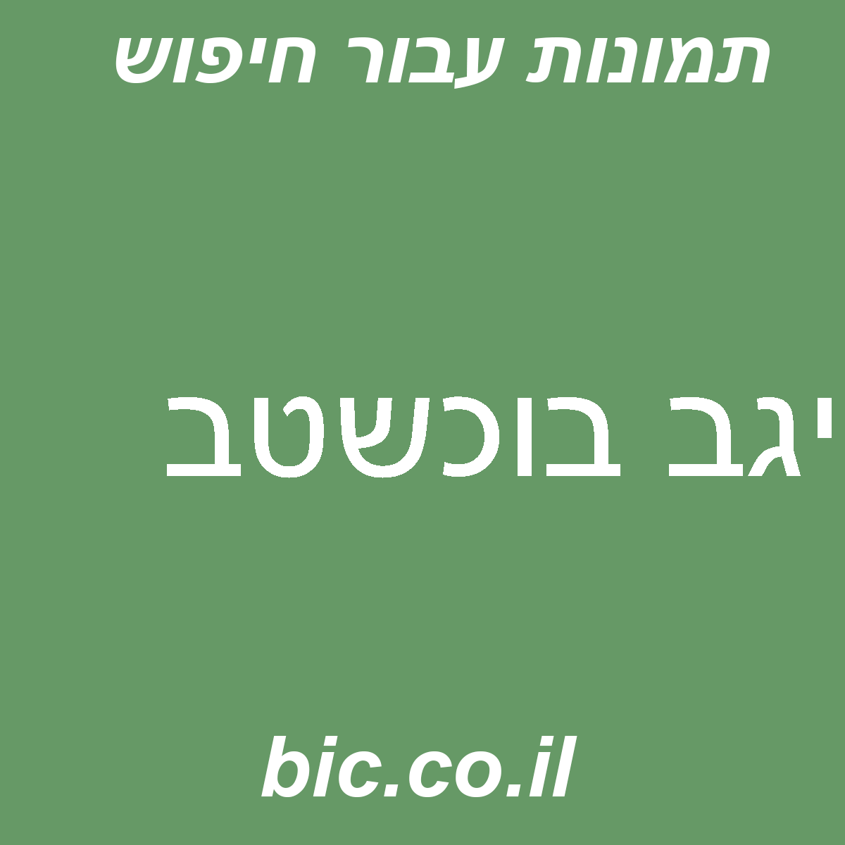﻿יגב בוכשטב