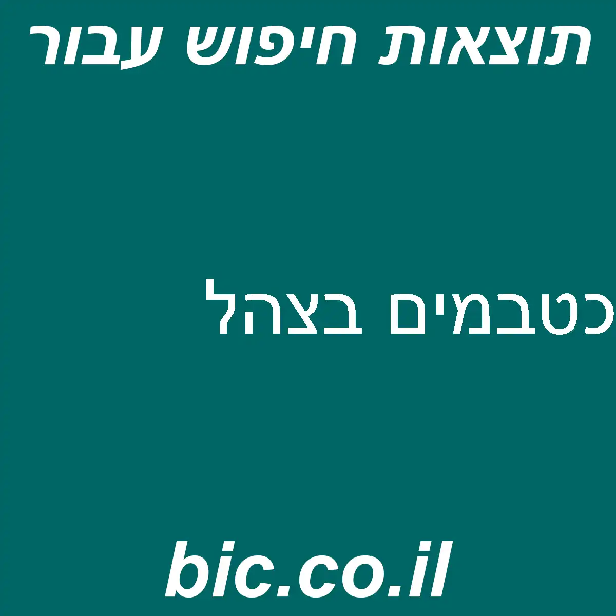 ﻿כטבמים בצהל