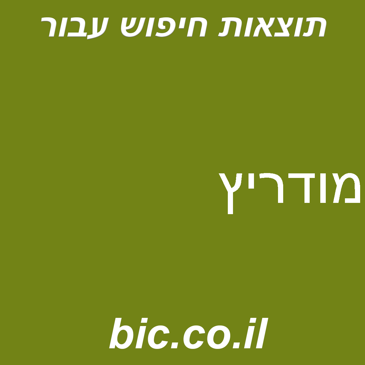 ﻿מודריץ