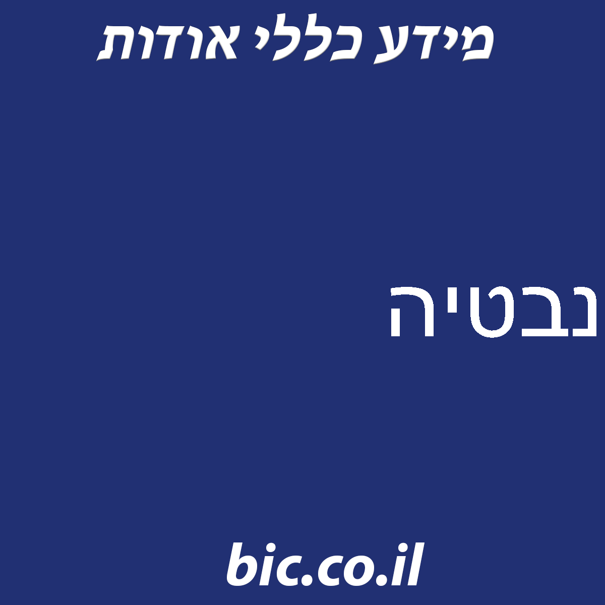 ﻿נבטיה