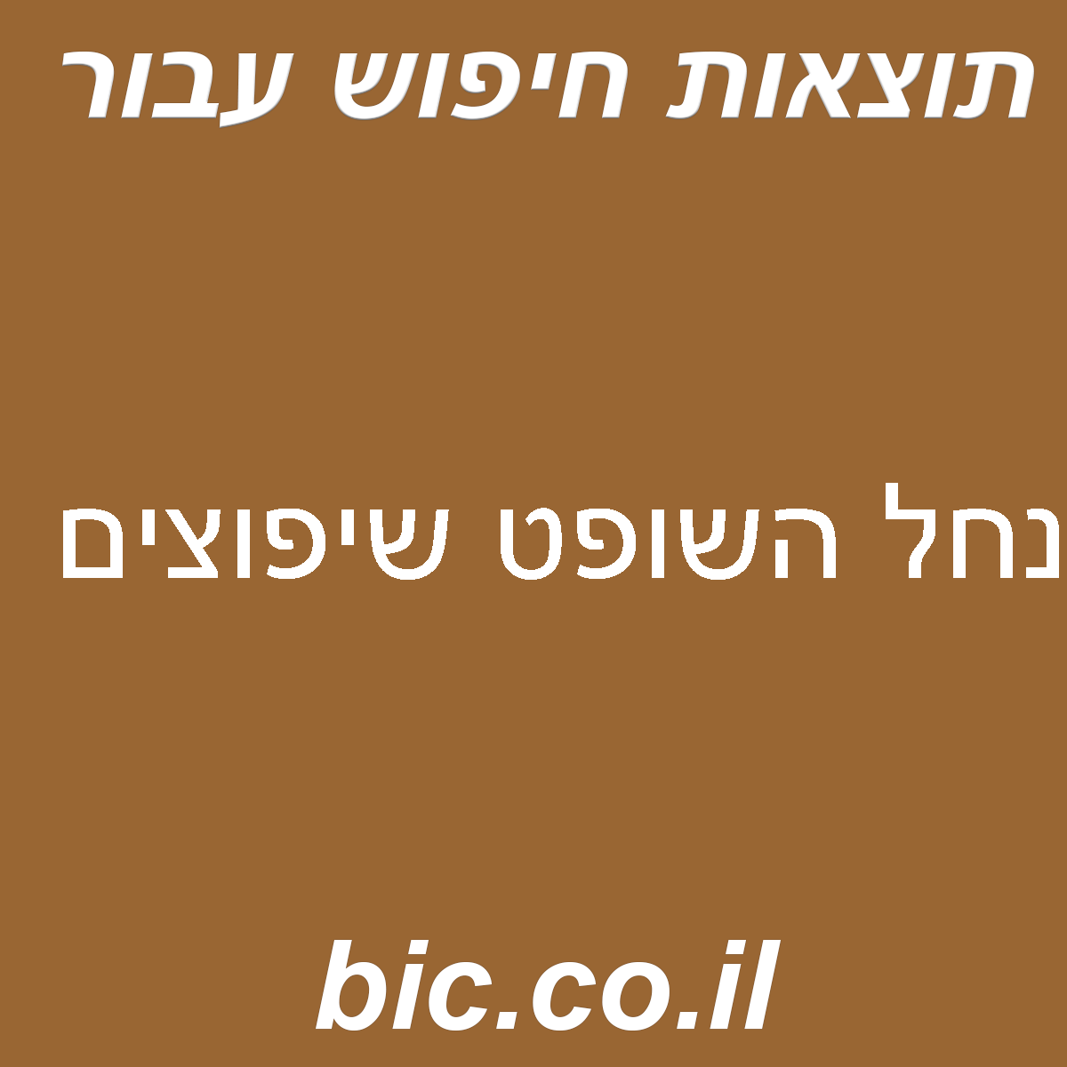 ﻿נחל השופט שיפוצים