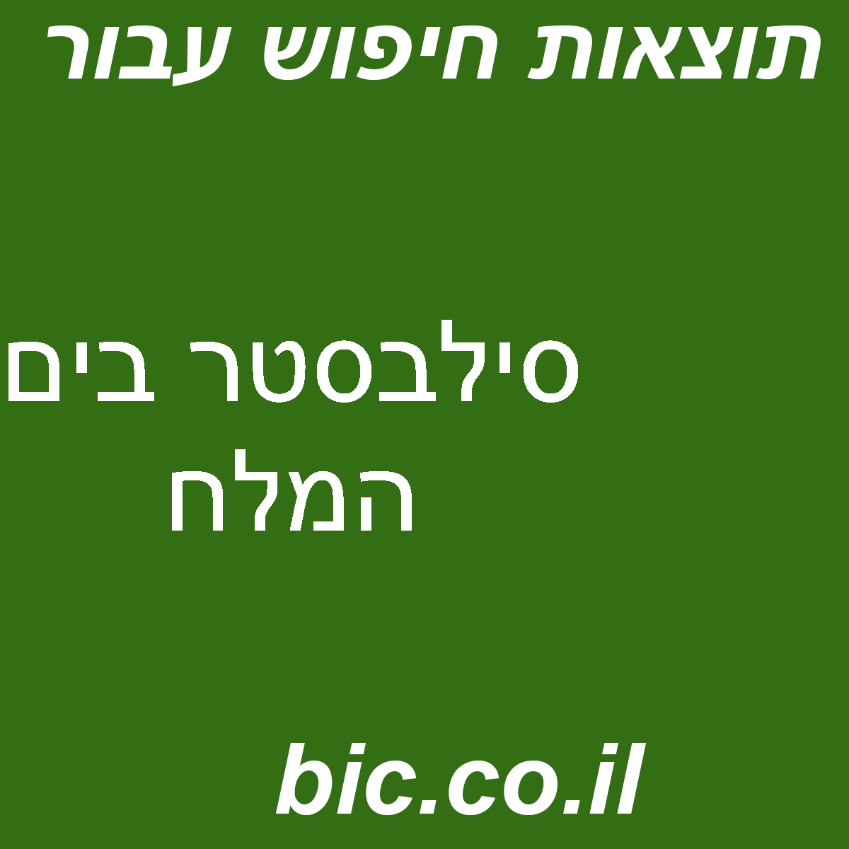 ﻿סילבסטר בים המלח