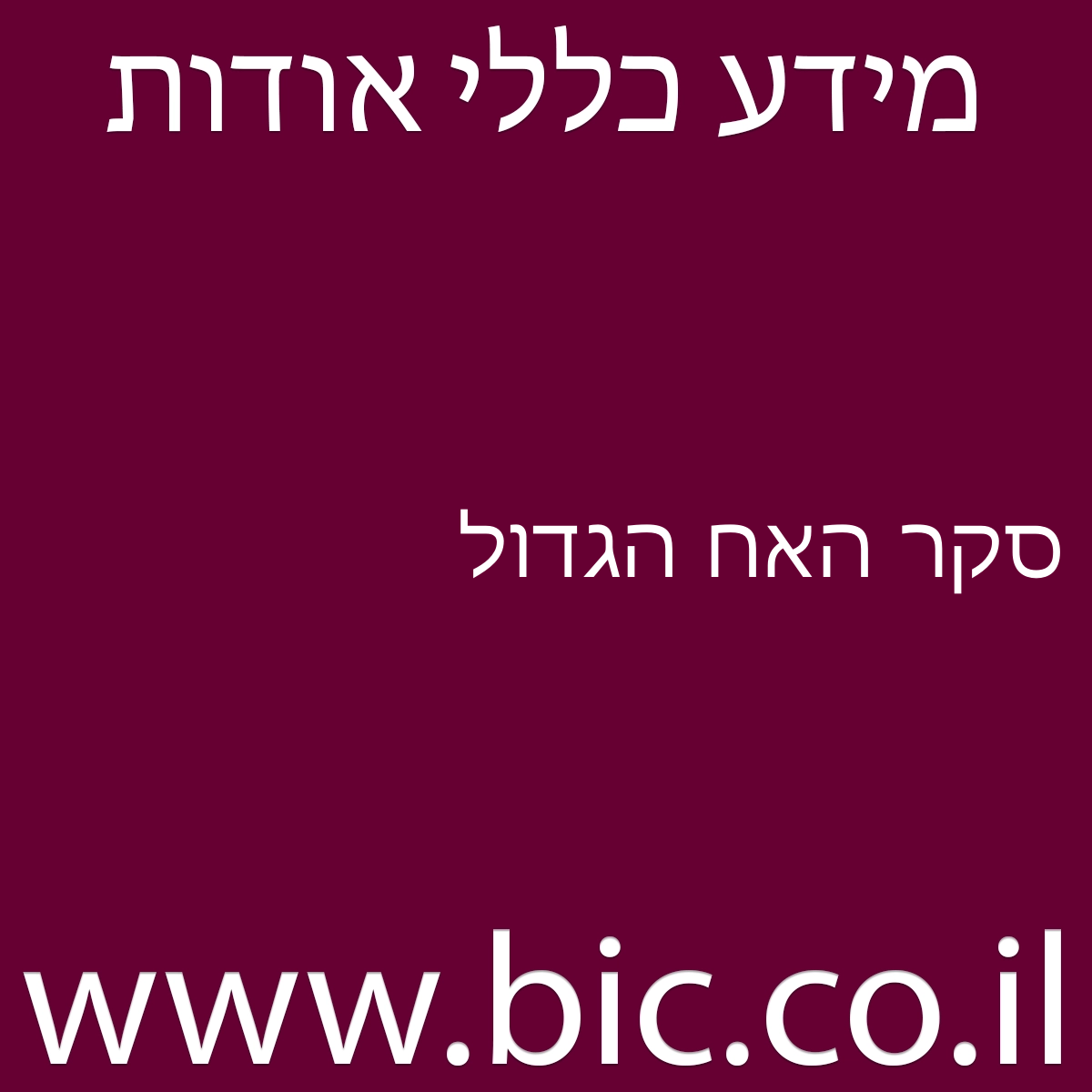 ﻿סקר האח הגדול
