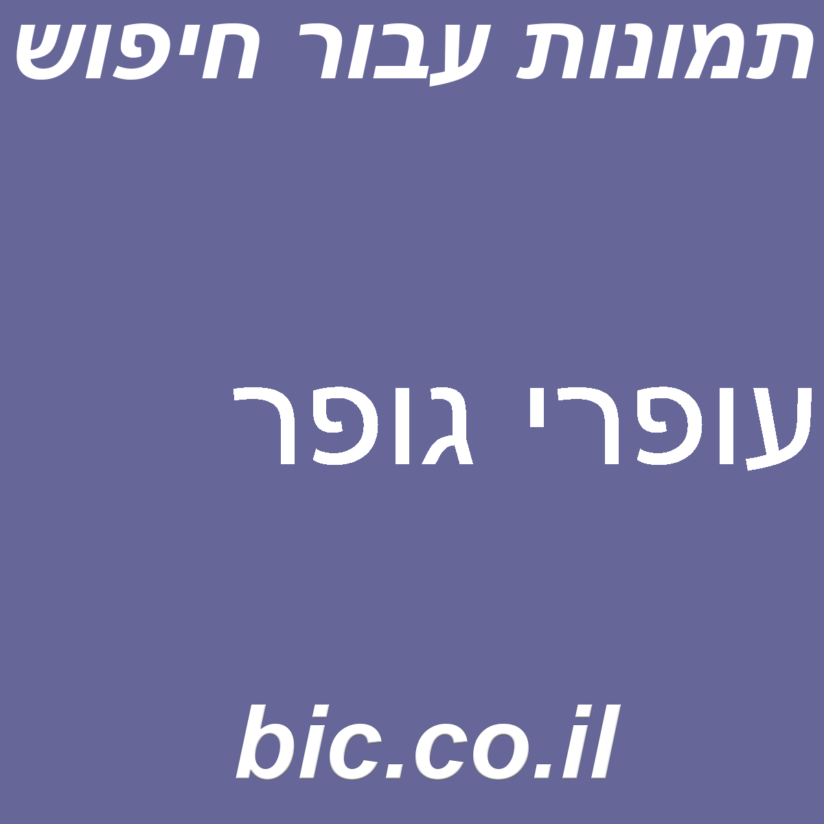 ﻿עופרי גופר