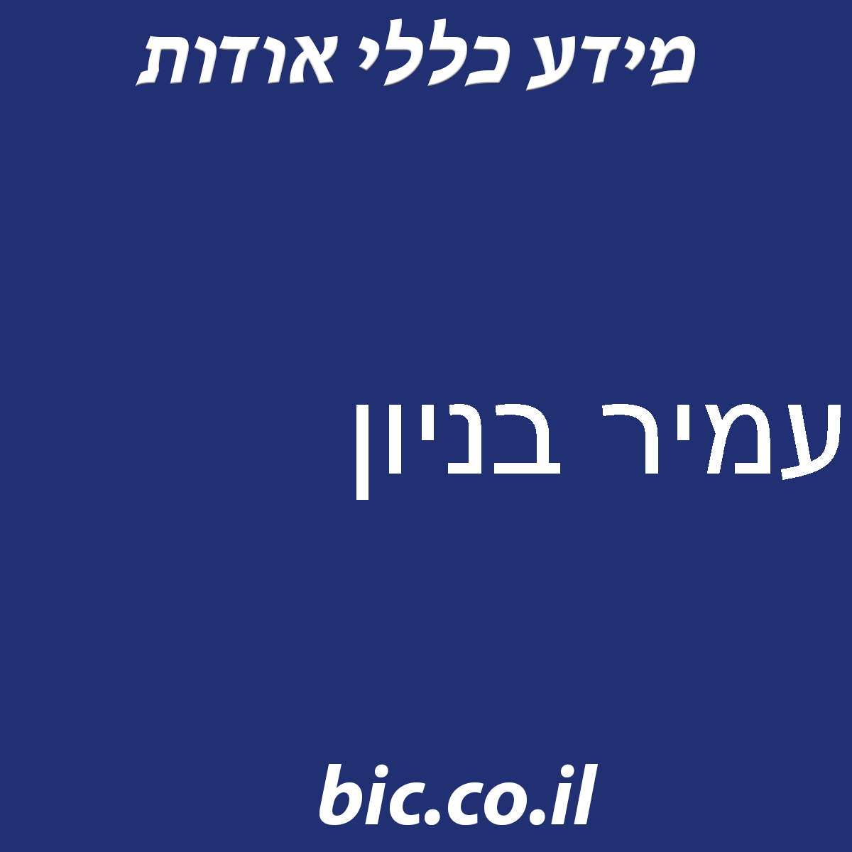 ﻿עמיר בניון