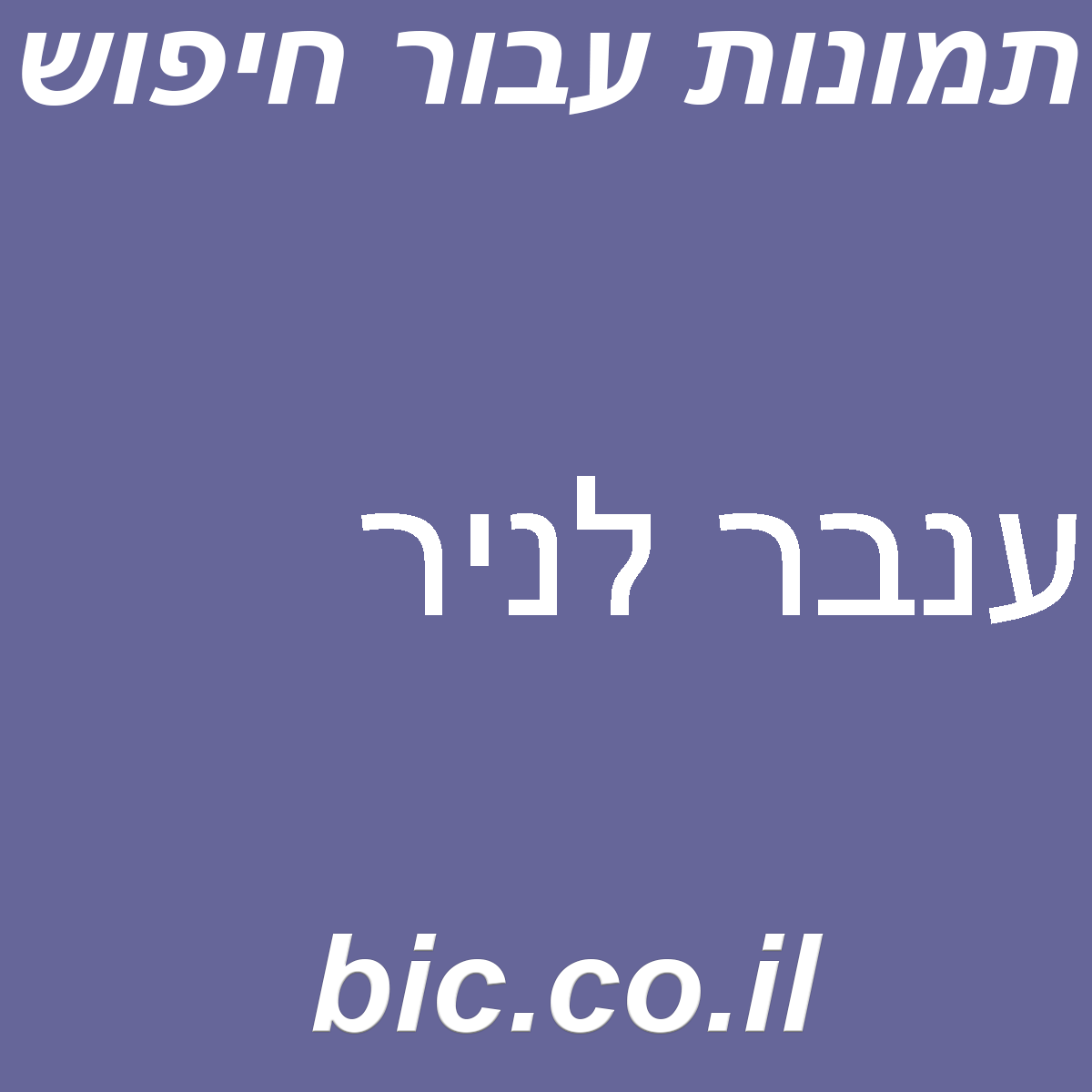 ﻿ענבר לניר