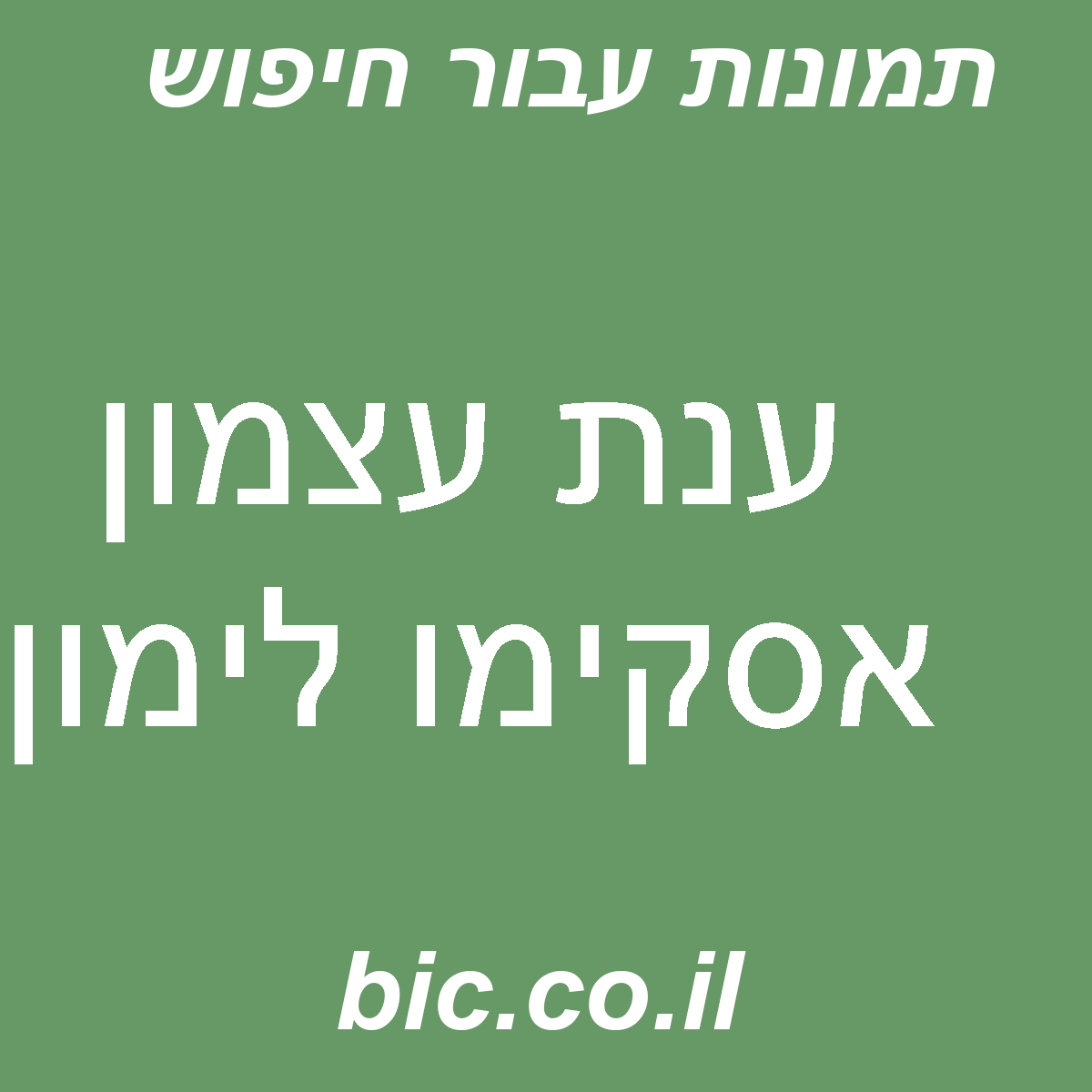 ﻿ענת עצמון אסקימו לימון
