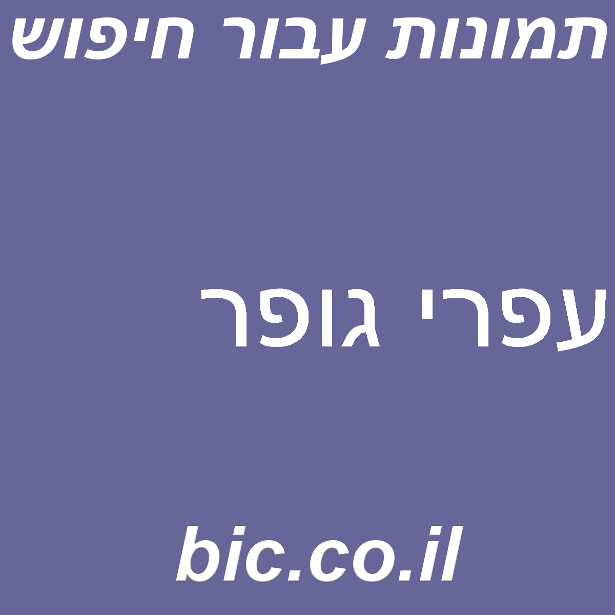 ﻿עפרי גופר
