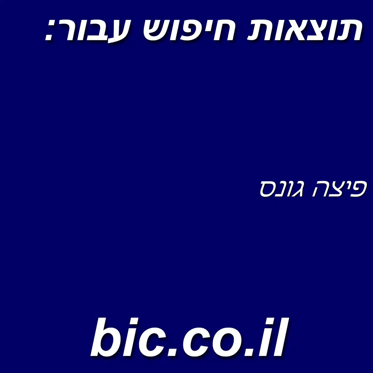 ﻿פיצה גונס