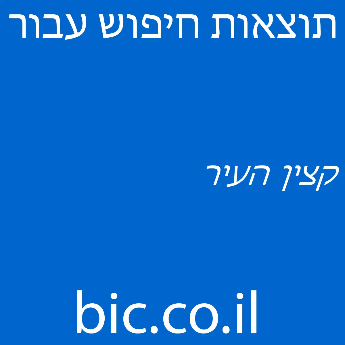 ﻿קצין העיר
