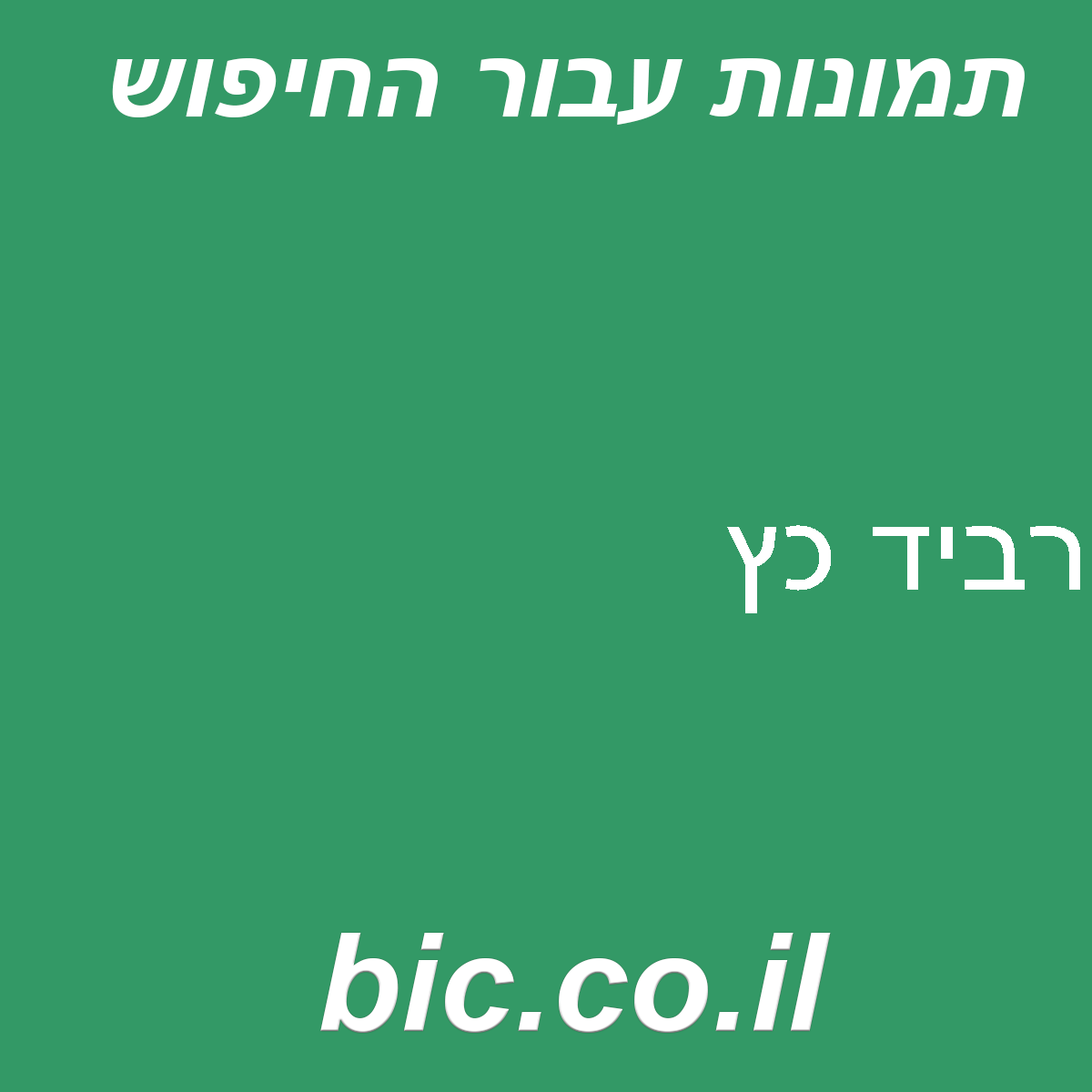 ﻿רביד כץ