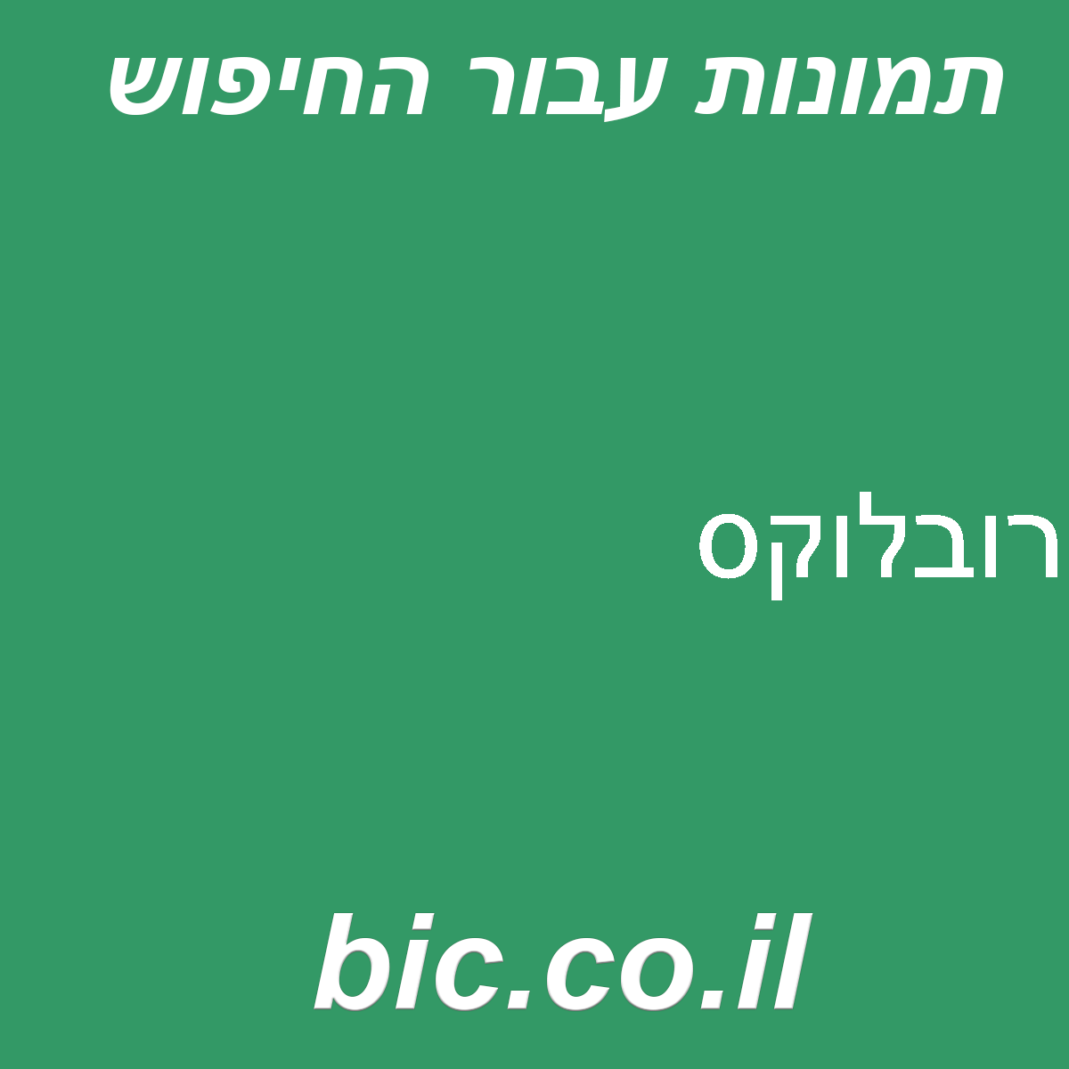 ﻿רובלוקס