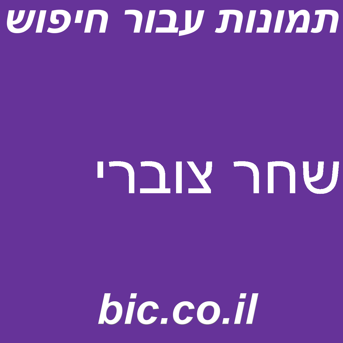﻿שחר צוברי