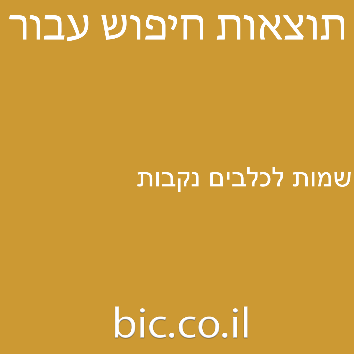 ﻿שמות לכלבים נקבות