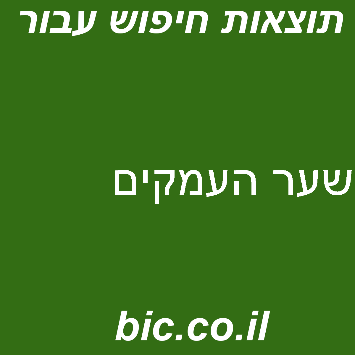 ﻿שער העמקים