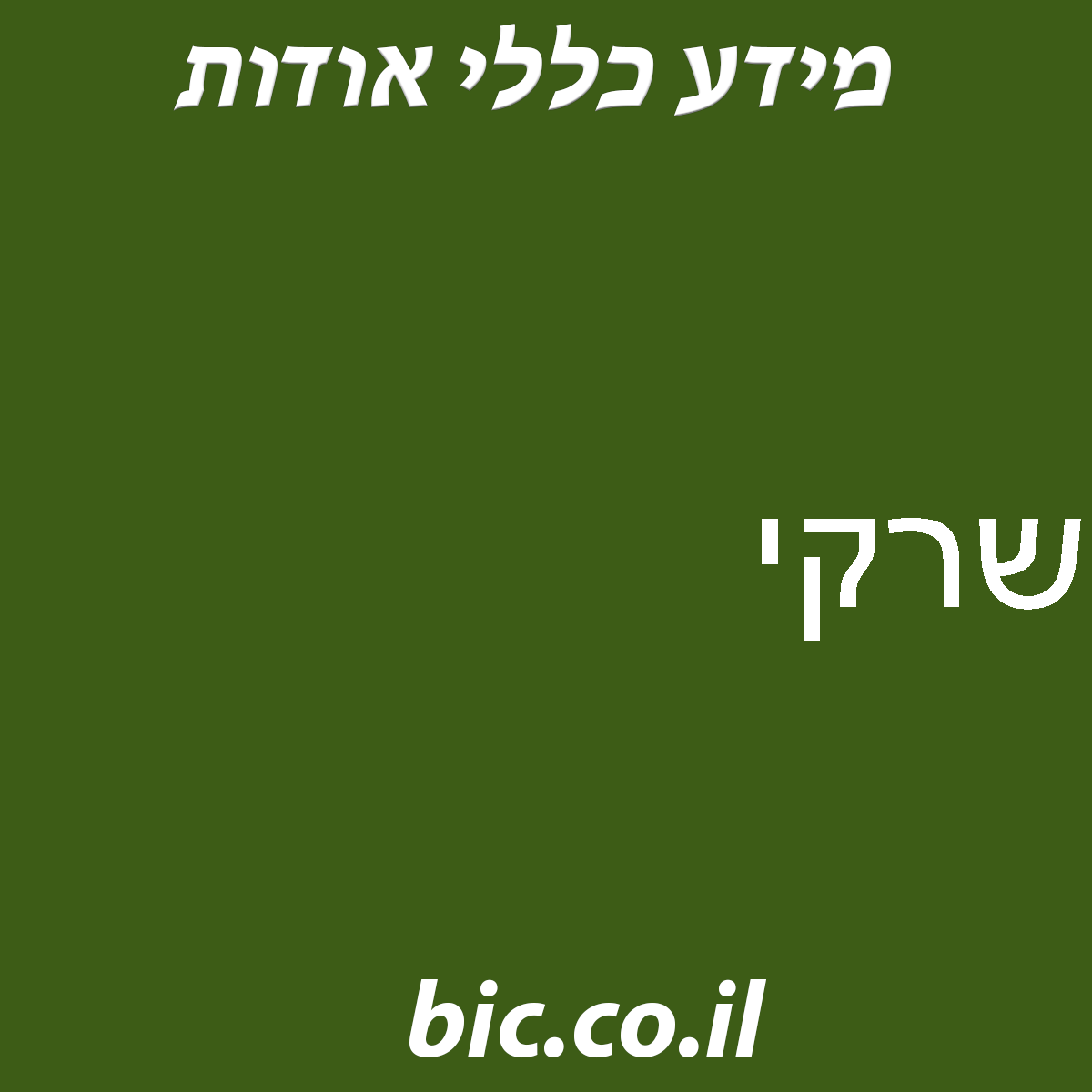 ﻿שרקי