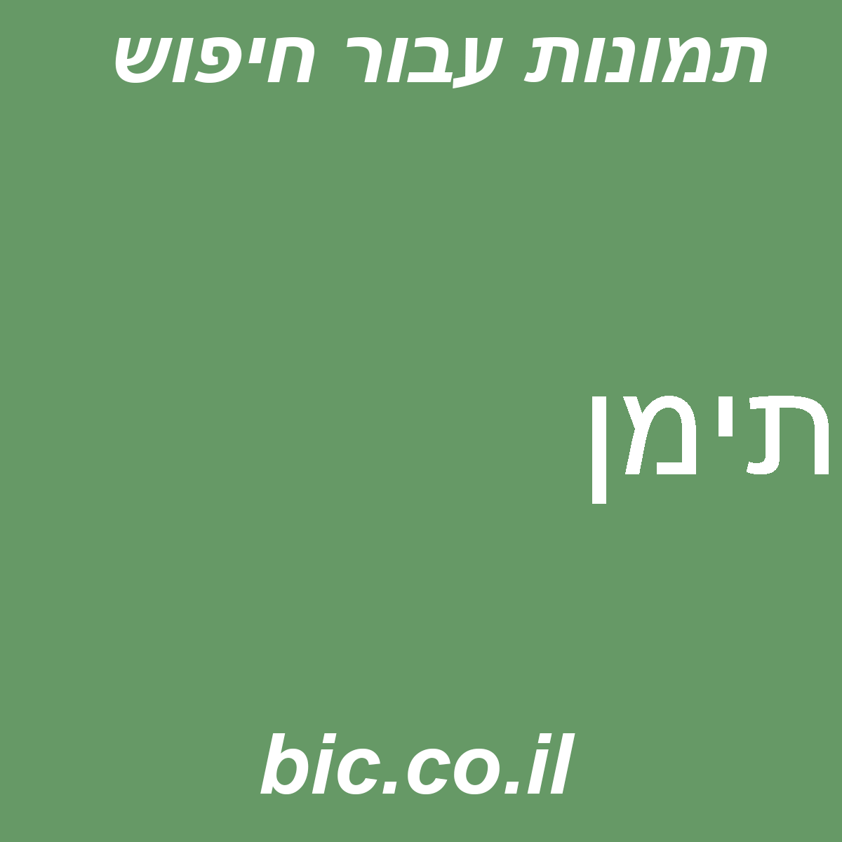 ﻿תימן