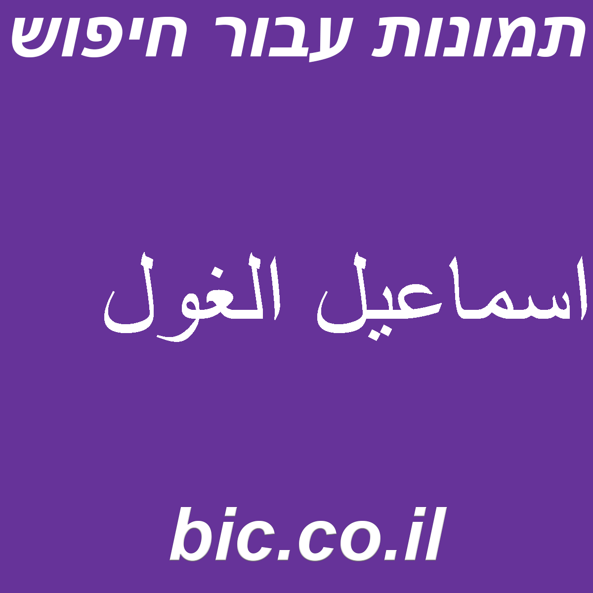 ﻿اسماعيل الغول