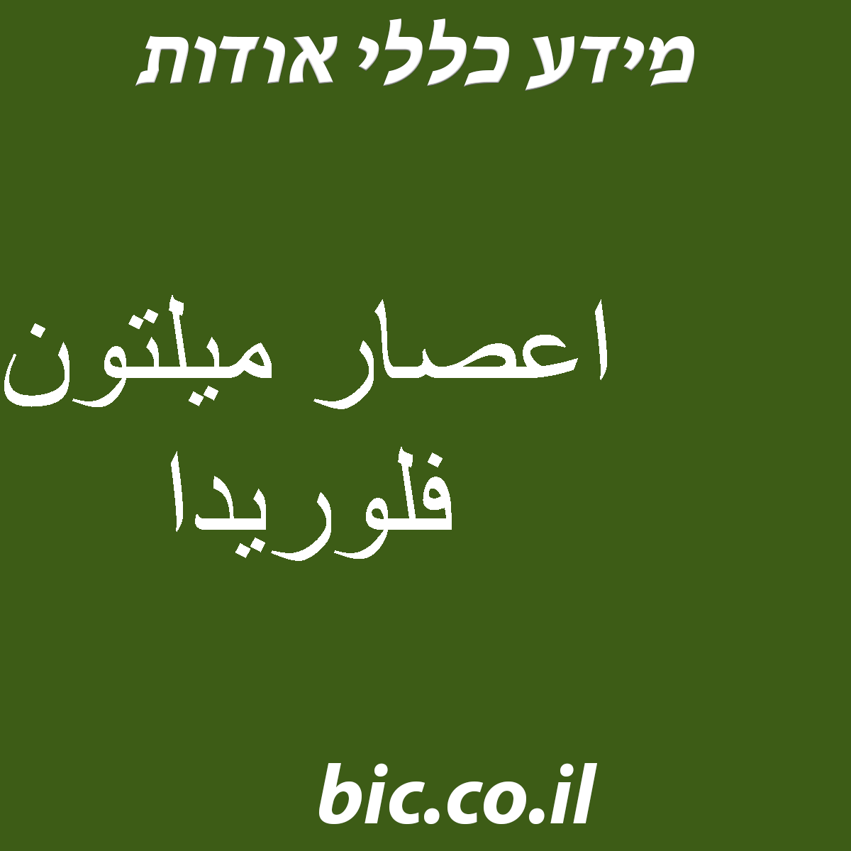 ﻿اعصار ميلتون فلوريدا