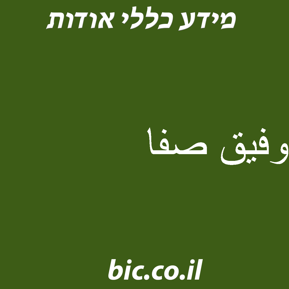 ﻿وفيق صفا
